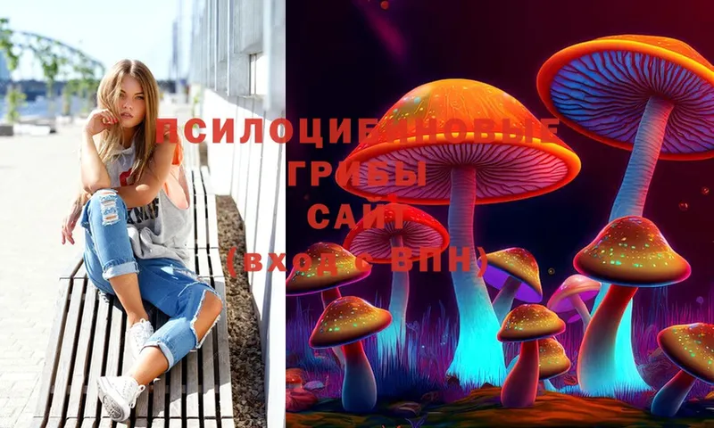 Галлюциногенные грибы Psilocybine cubensis  darknet какой сайт  Зима 